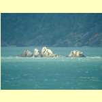 great barrier18205.jpg